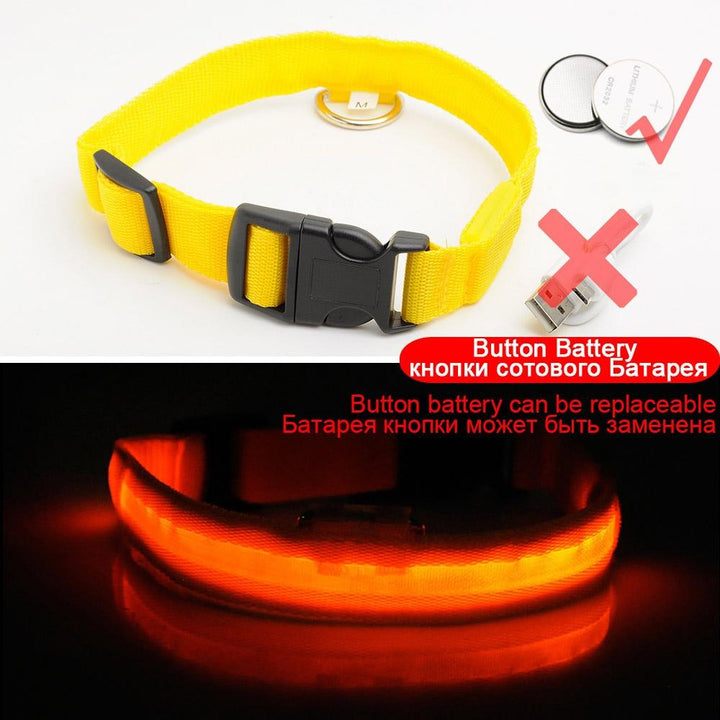 Azura | Light Up Dog Collar - Flashing Dog Collar