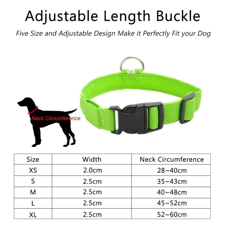 Azura | Light Up Dog Collar - Flashing Dog Collar
