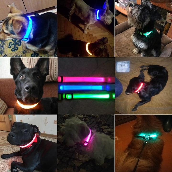 Azura | Light Up Dog Collar - Flashing Dog Collar