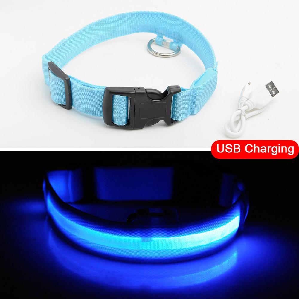 Azura | Light Up Dog Collar - Flashing Dog Collar