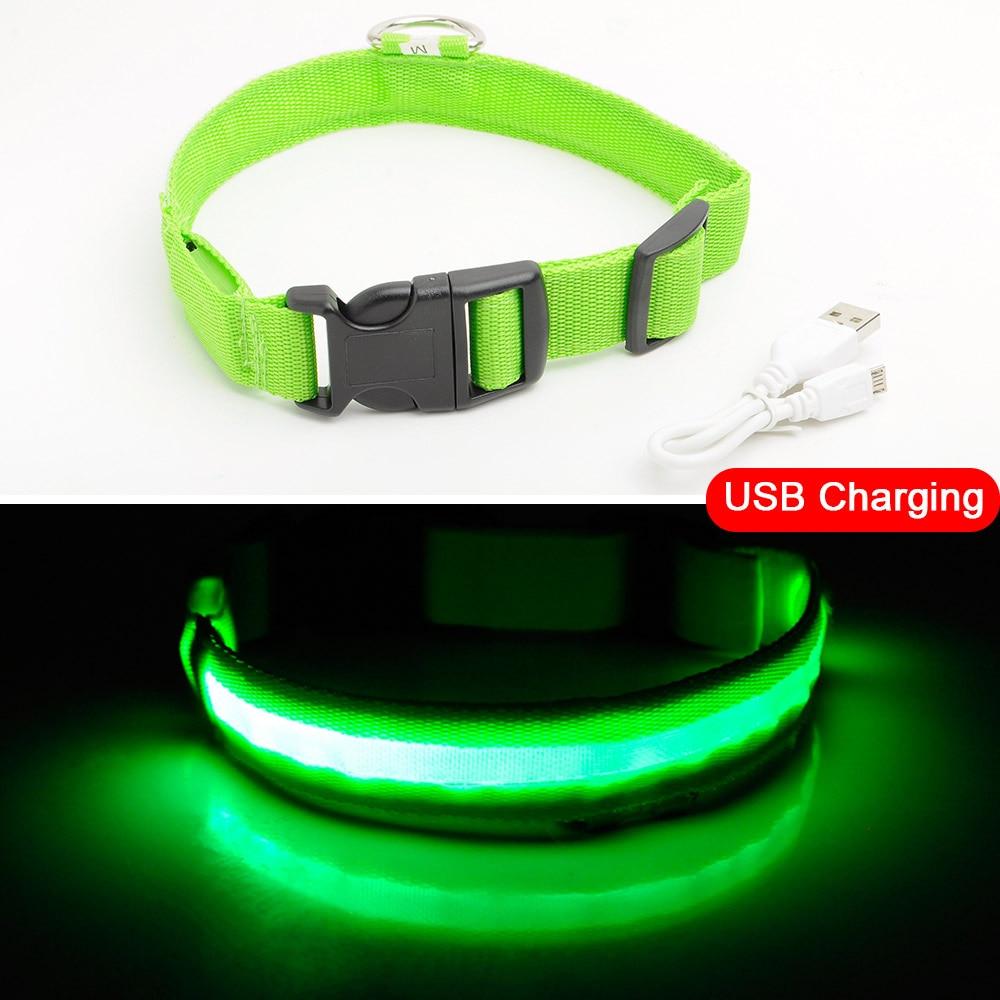 Azura | Light Up Dog Collar - Flashing Dog Collar