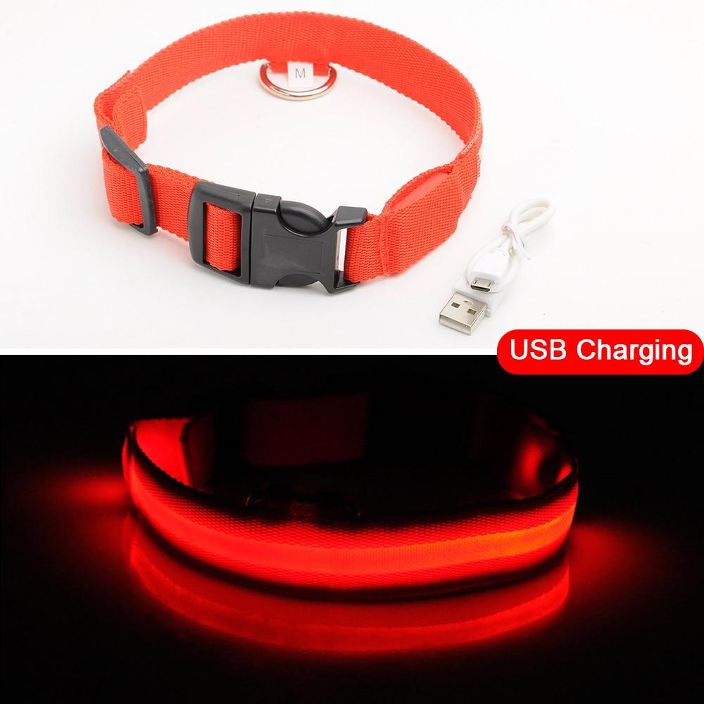 Azura | Light Up Dog Collar - Flashing Dog Collar