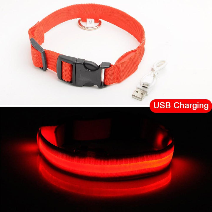 Azura | Light Up Dog Collar - Flashing Dog Collar