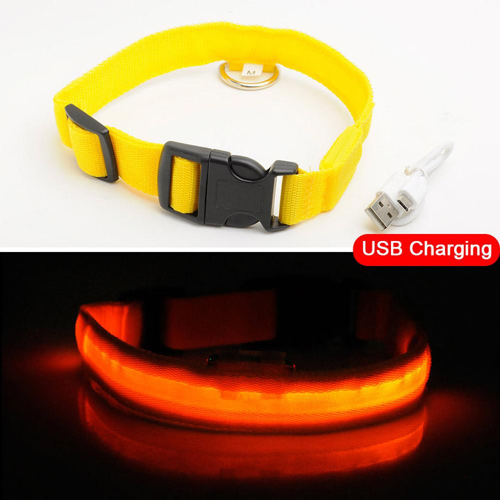 Azura | Light Up Dog Collar - Flashing Dog Collar