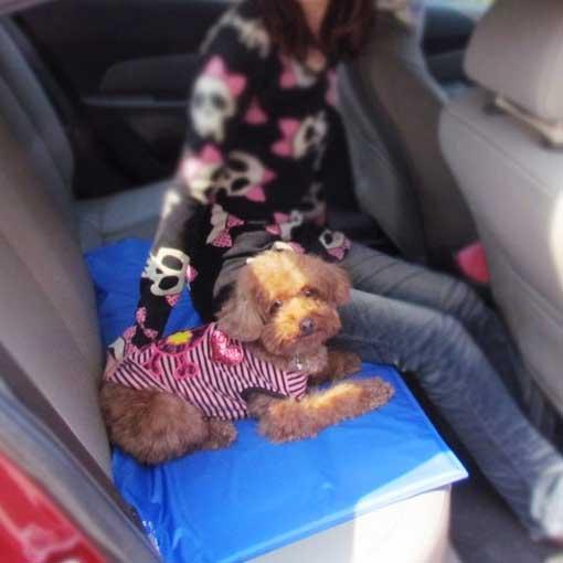 Pet Cooling Mat | Azura