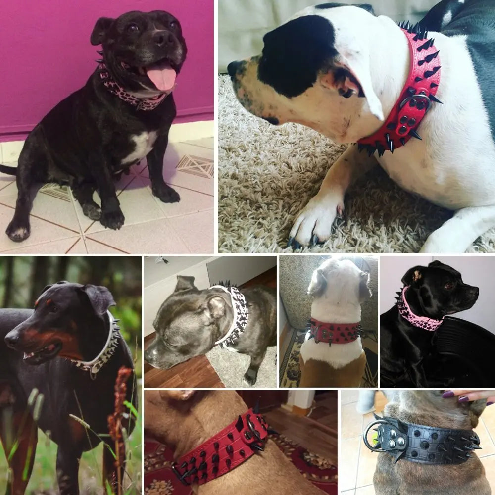 Dog collar with studs for large dogs Azura