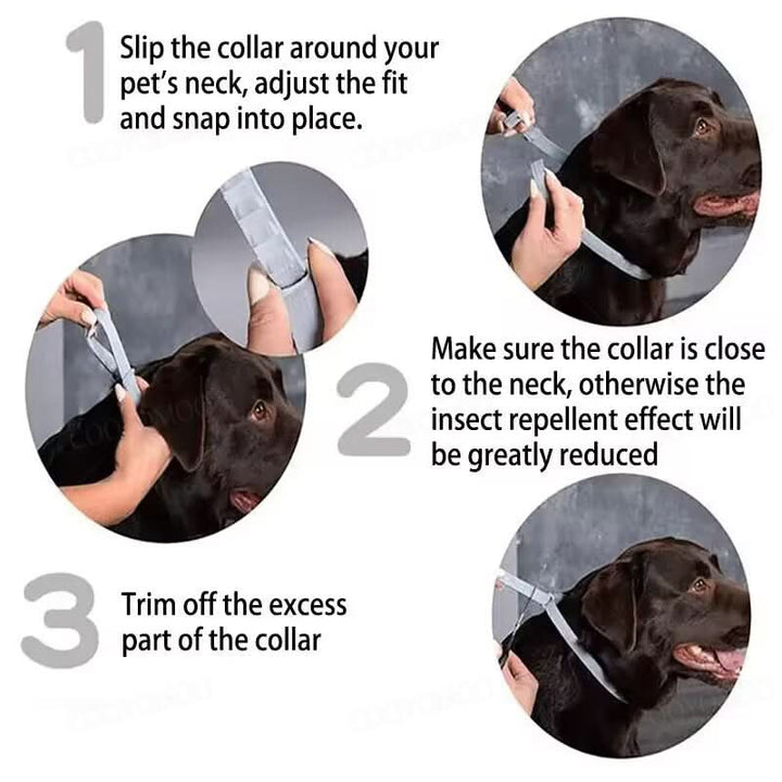 Azura | PAWTECT - Anti-tick and flea collar