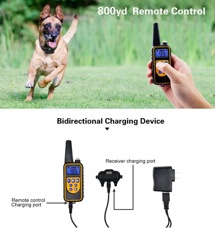 Azura | Adjustable Electric Dog Training E-Collar – Safe, Effective Remote Control