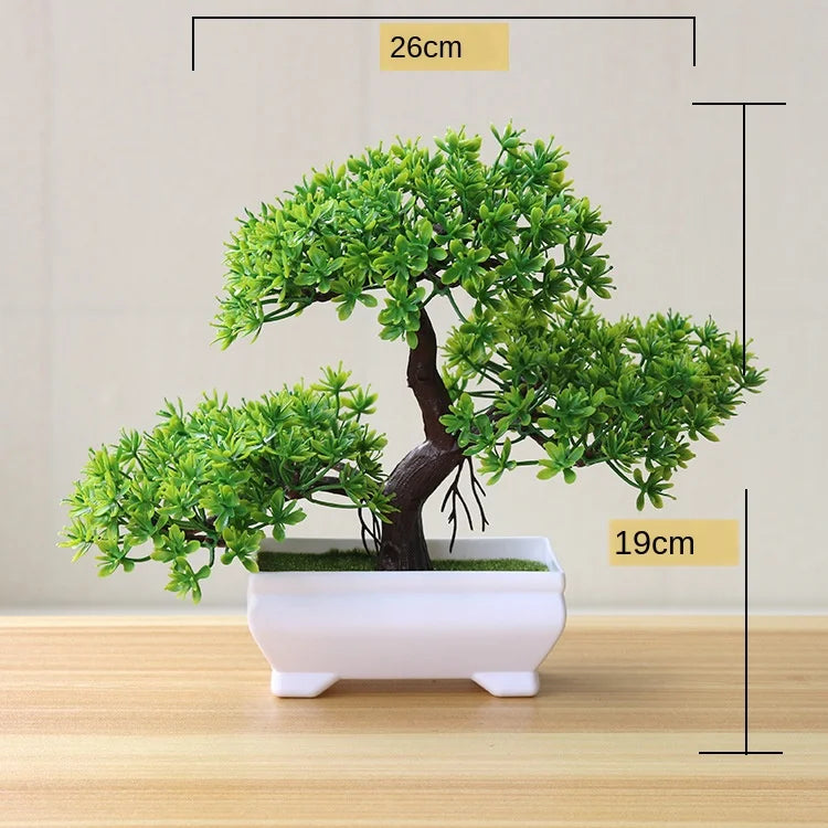 BowLift | Small Tree Pot Bonsai Plants