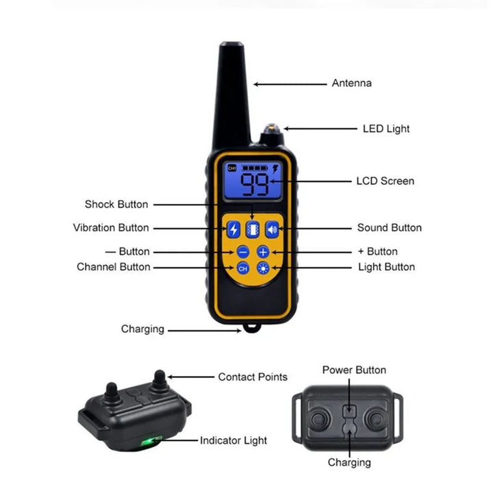 Azura | Adjustable Electric Dog Training E-Collar – Safe, Effective Remote Control