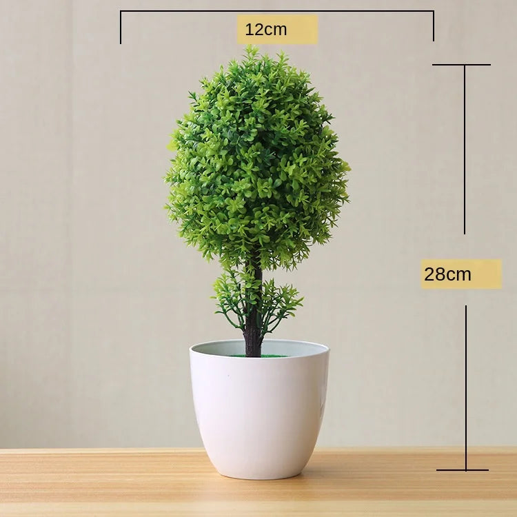 BowLift | Small Tree Pot Bonsai Plants