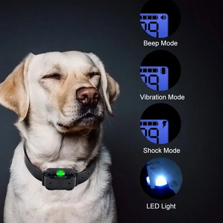 Azura | Adjustable Electric Dog Training E-Collar – Safe, Effective Remote Control