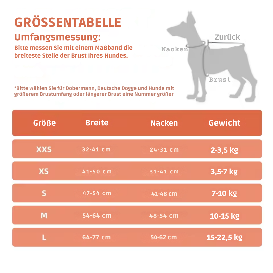 Breathable dog harness adjustable & comfortable Azura