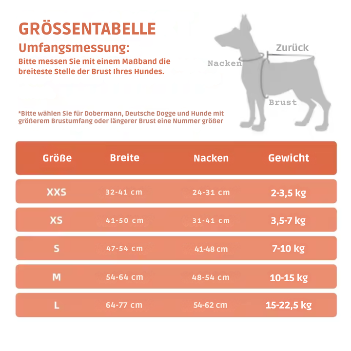 Breathable dog harness adjustable & comfortable Azura