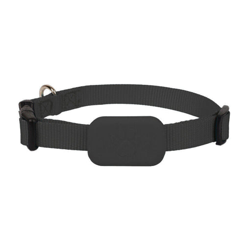 Azura | AnimalTracker Mini – Smart Dog and Cat Bluetooth Collar Tracker