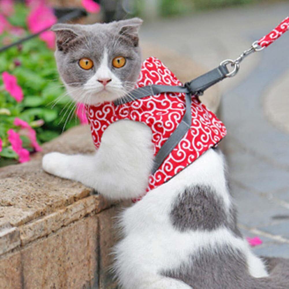 Azura | Cat harness vest for safety & comfort