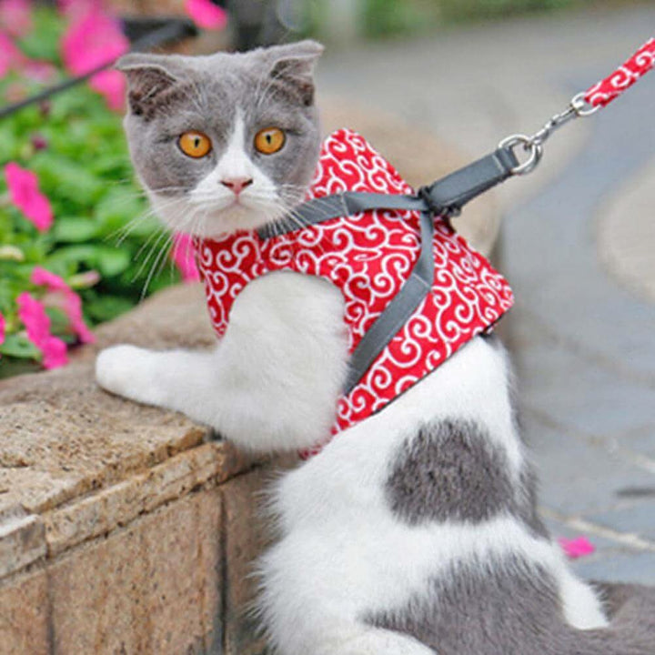 Azura | Cat harness vest for safety & comfort