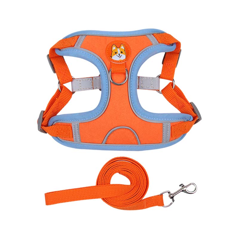 Azura | Reflective Pet Harness and Leash Set