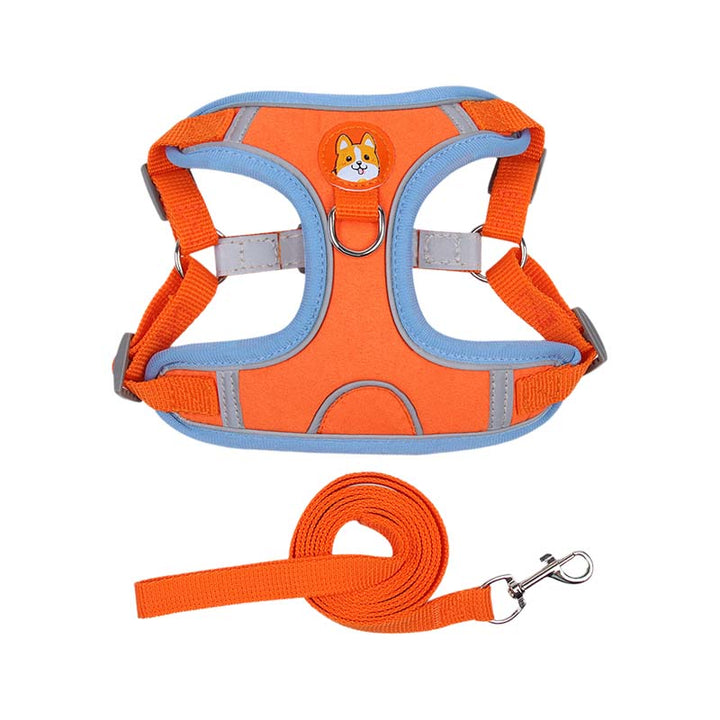 Azura | Reflective Pet Harness and Leash Set