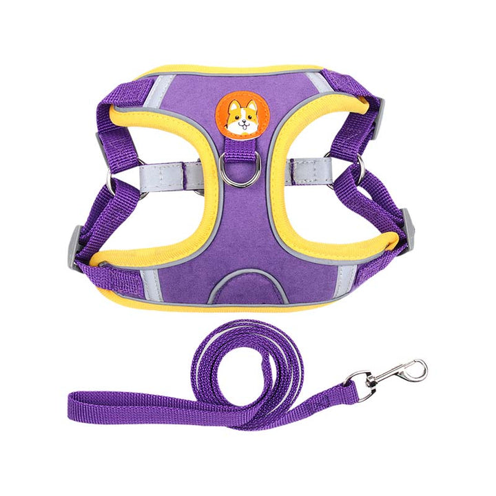 Azura | Reflective Pet Harness and Leash Set