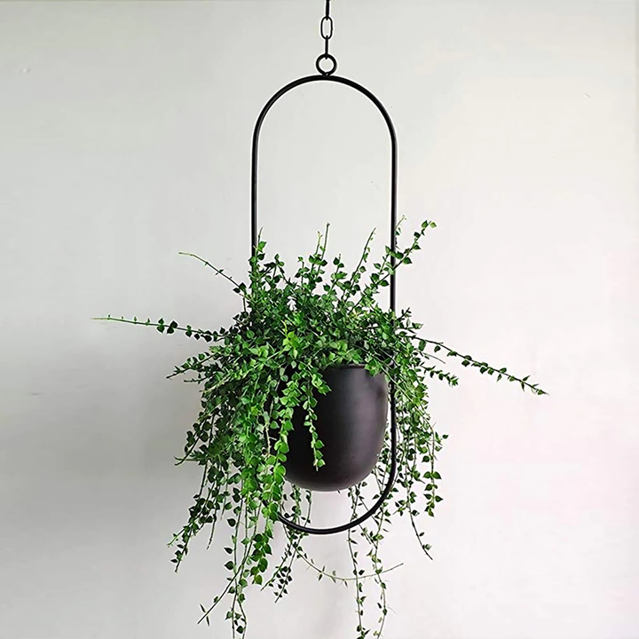 BowLift | Luxury Modern Hanging Pots
