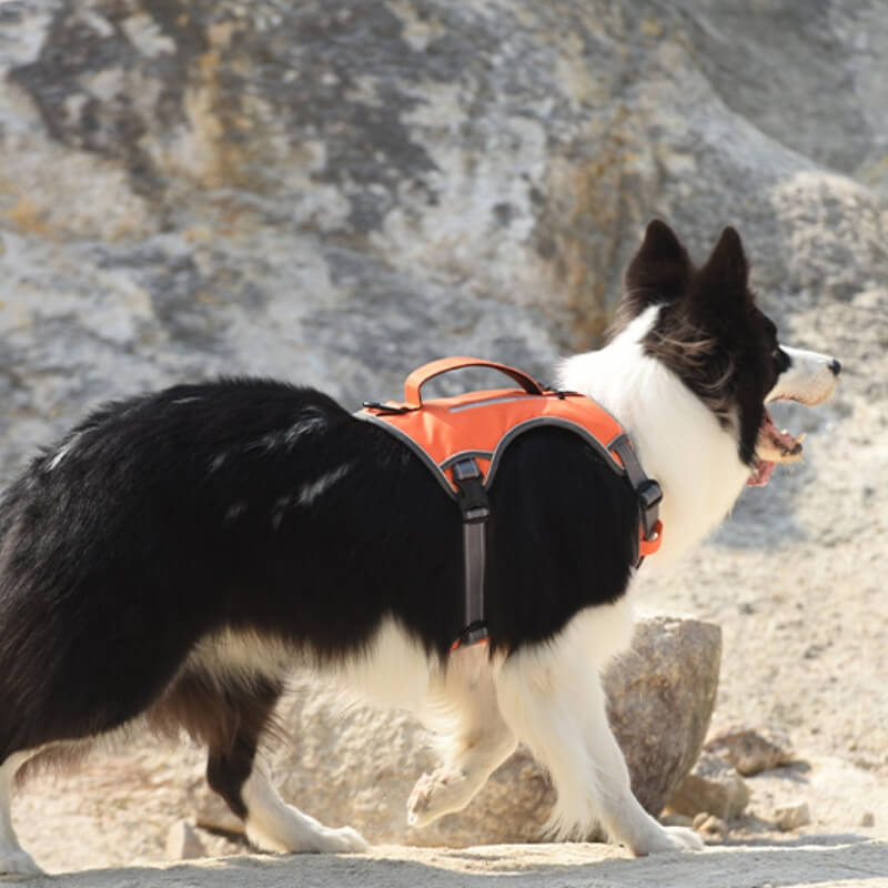 Azura | Multifunctional explosion-proof anti-pull harness for medium to large dogs harness