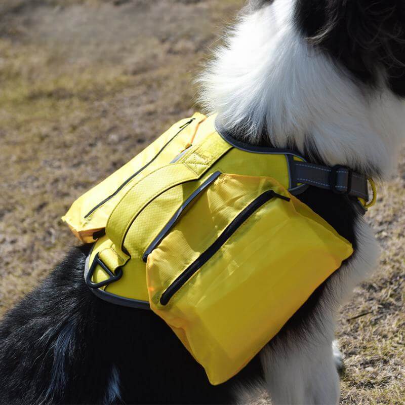 Azura | Multifunctional explosion-proof anti-pull harness for medium to large dogs harness