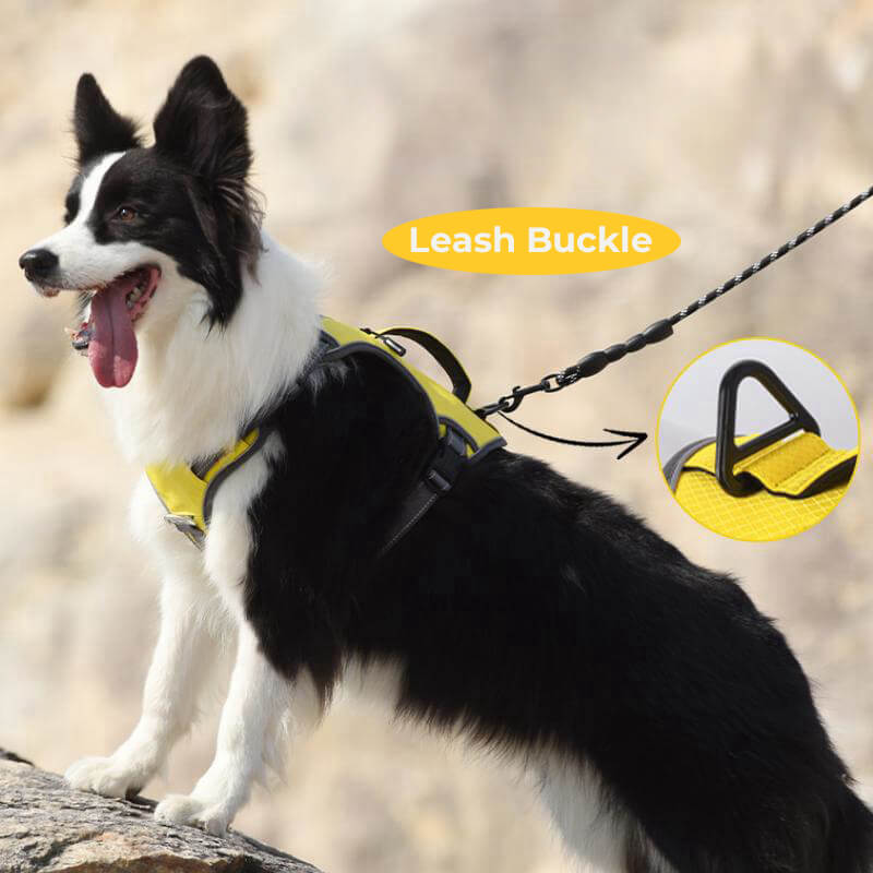 Azura | Multifunctional explosion-proof anti-pull harness for medium to large dogs harness