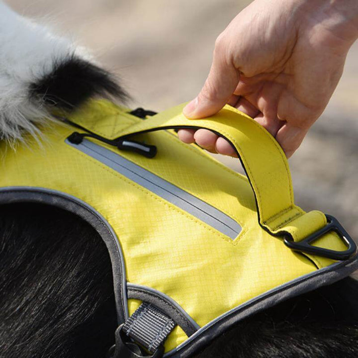Azura | Multifunctional explosion-proof anti-pull harness for medium to large dogs harness