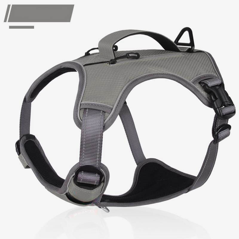 Azura | Multifunctional explosion-proof anti-pull harness for medium to large dogs harness