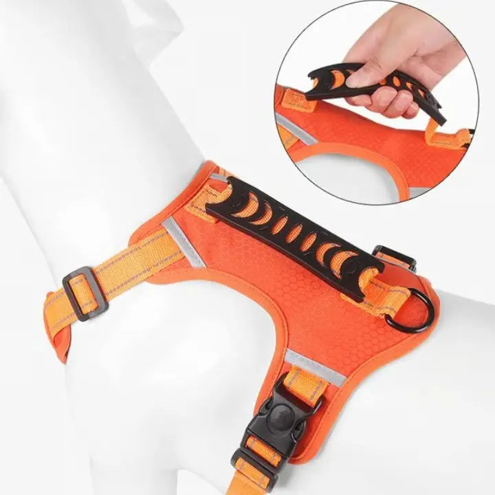 Azura | No-Pull Dog Harness with Reflective Nylon