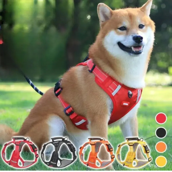Azura | No-Pull Dog Harness with Reflective Nylon