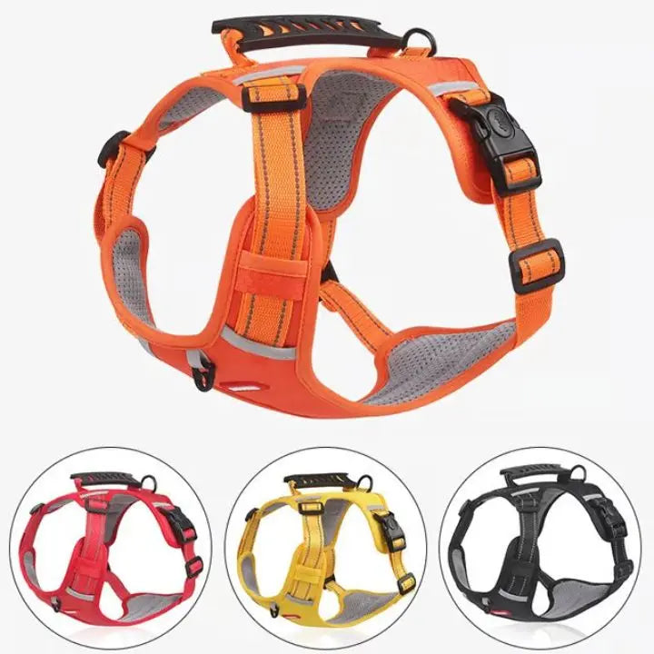 Azura | No-Pull Dog Harness with Reflective Nylon