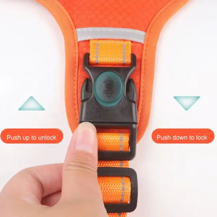 Azura | No-Pull Dog Harness with Reflective Nylon