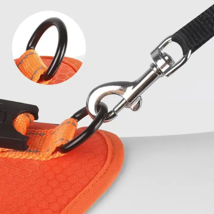 Azura | No-Pull Dog Harness with Reflective Nylon