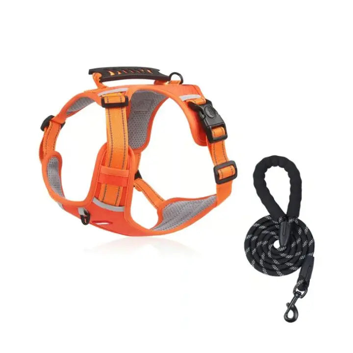Azura | No-Pull Dog Harness with Reflective Nylon