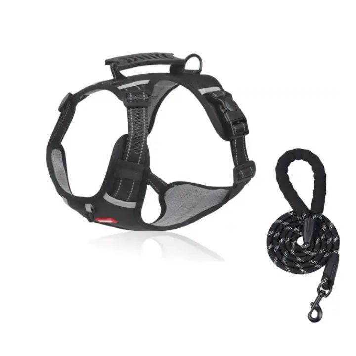 Azura | No-Pull Dog Harness with Reflective Nylon