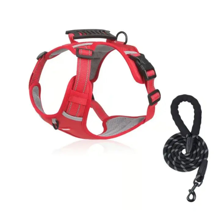 Azura | No-Pull Dog Harness with Reflective Nylon