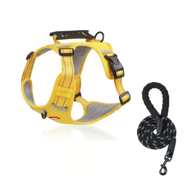 Azura | No-Pull Dog Harness with Reflective Nylon