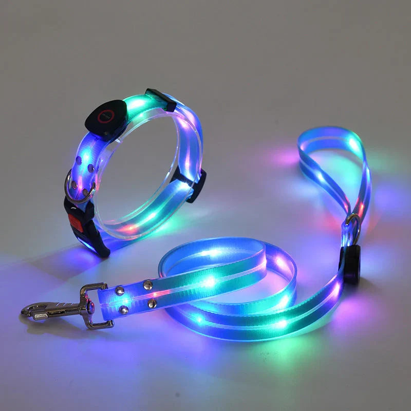 LED Dog Collar with Leash – NightBright Azura