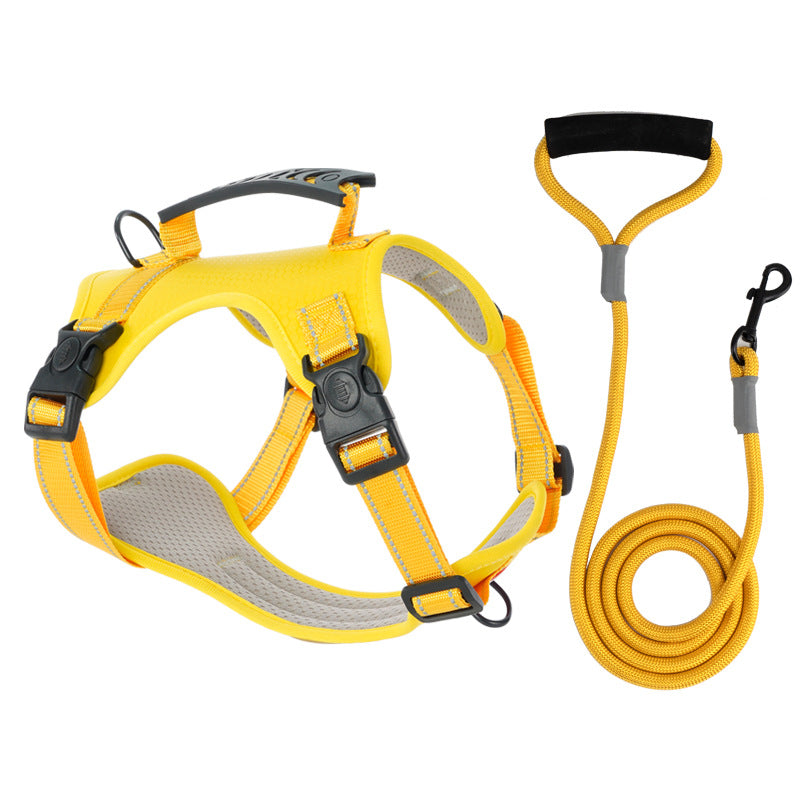 Azura | TailMate - The comfortable dog harness