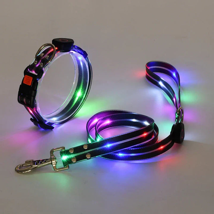 LED Dog Collar with Leash – NightBright Azura
