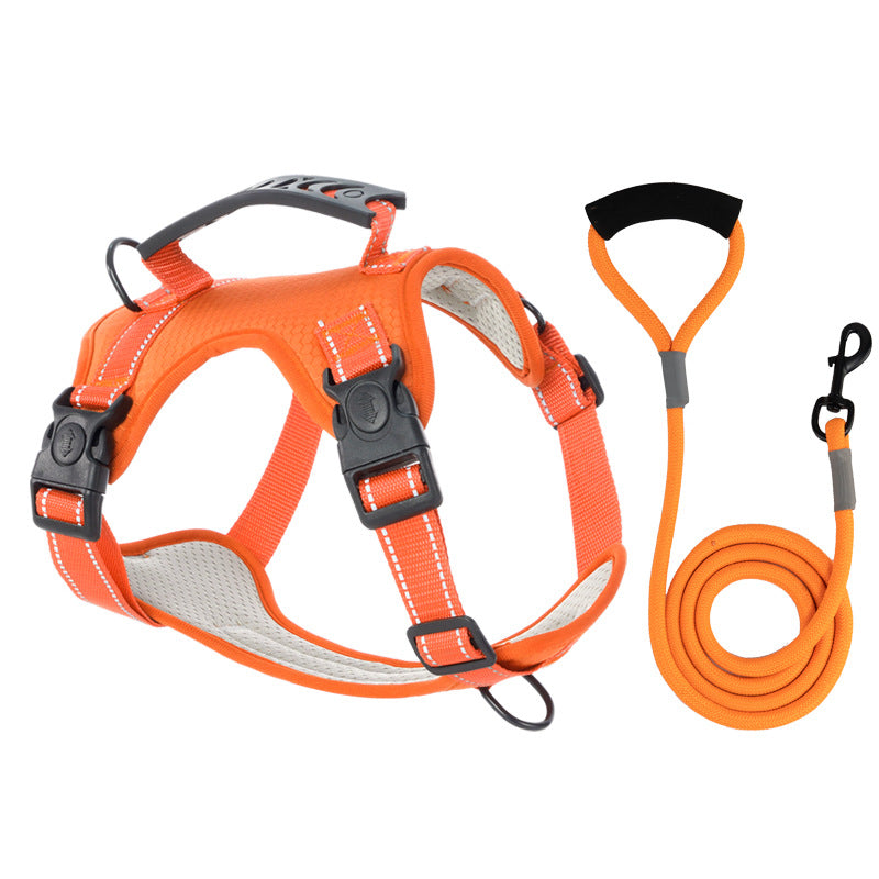 Azura | TailMate - The comfortable dog harness