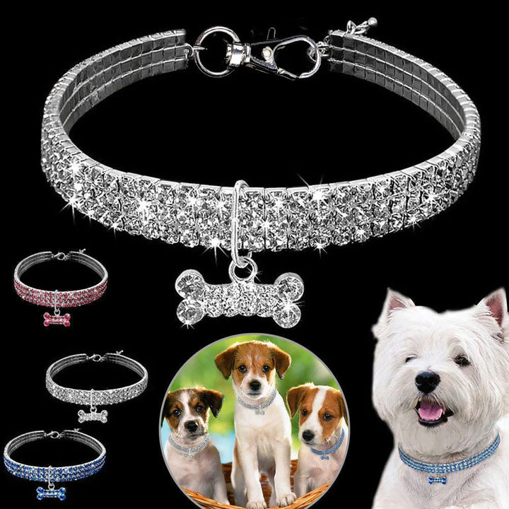 Glamorous Pet Collar – SparkleCollar Azura