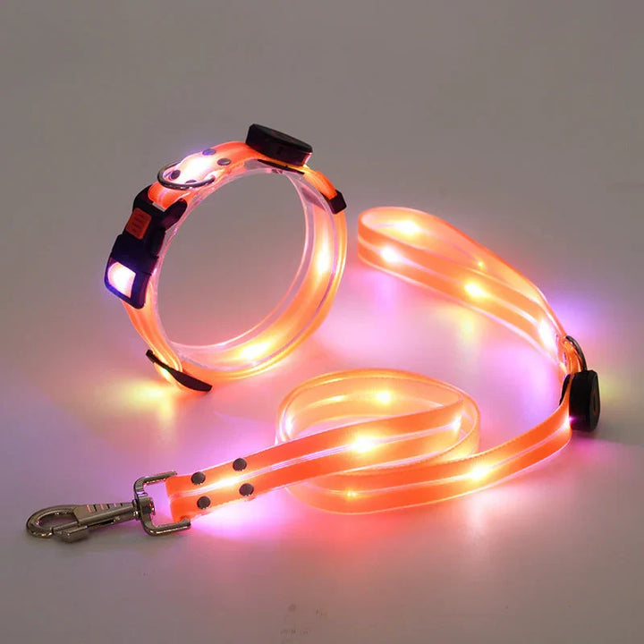 LED Dog Collar with Leash – NightBright Azura