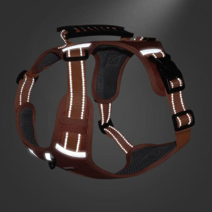 Azura | anti-pull dog harness for pain-free walks