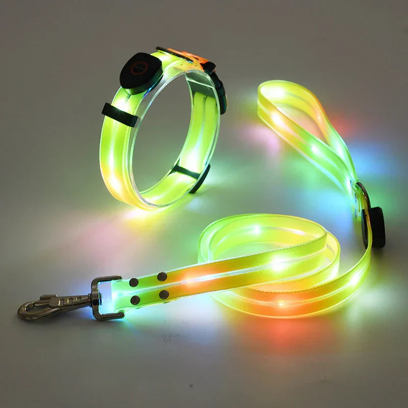 LED Dog Collar with Leash – NightBright Azura