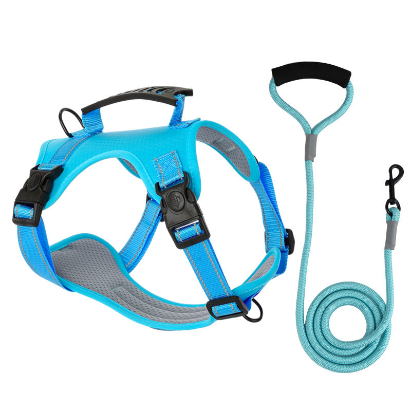 Azura | TailMate - The comfortable dog harness