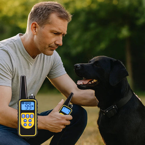 Azura | Waterproof Dog Training Collar with Remote Control and 3 Modes