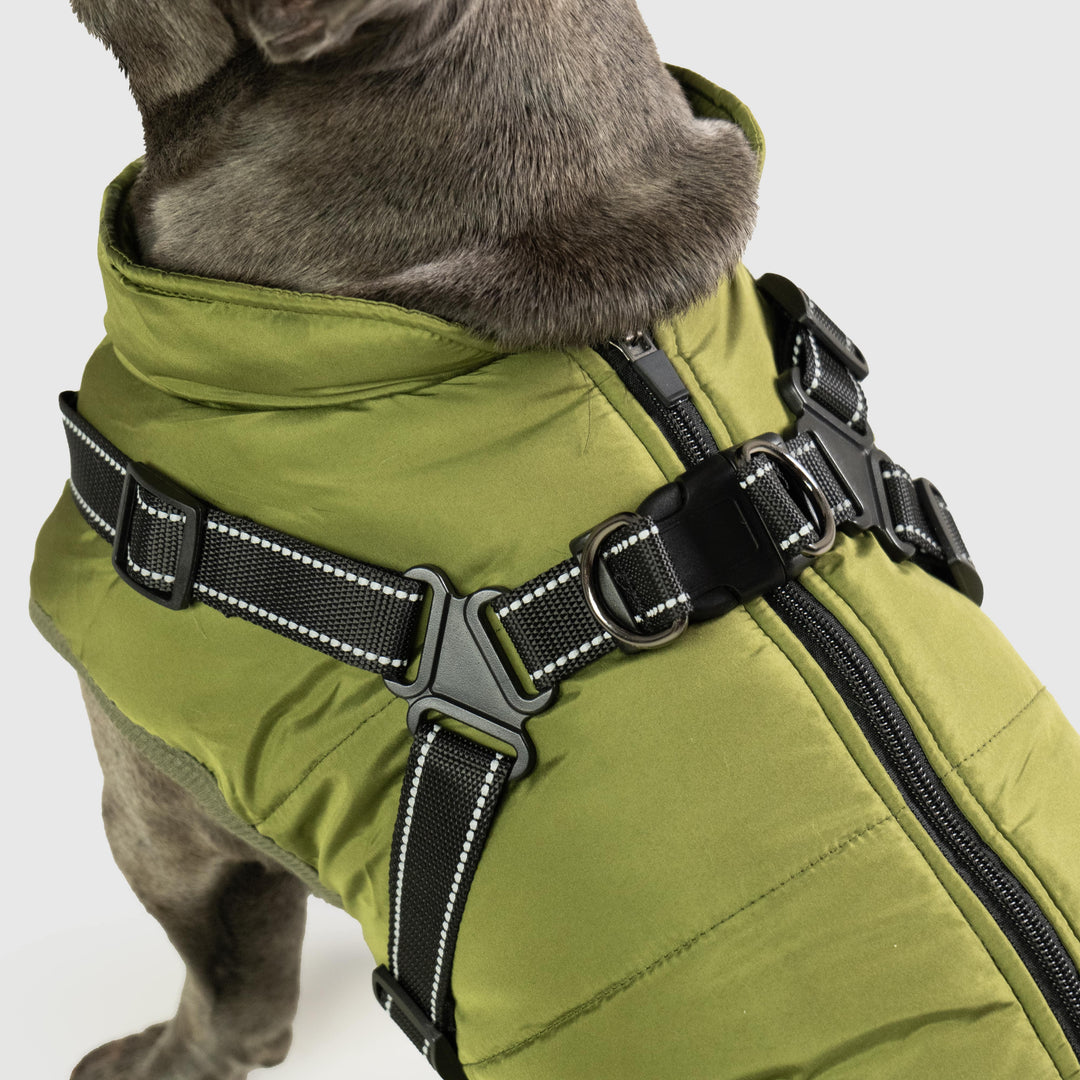 Azura | Waterproof Dog Jacket with Built-in Harness – Warm, Weather-resistant Dog Jacket for All Breeds